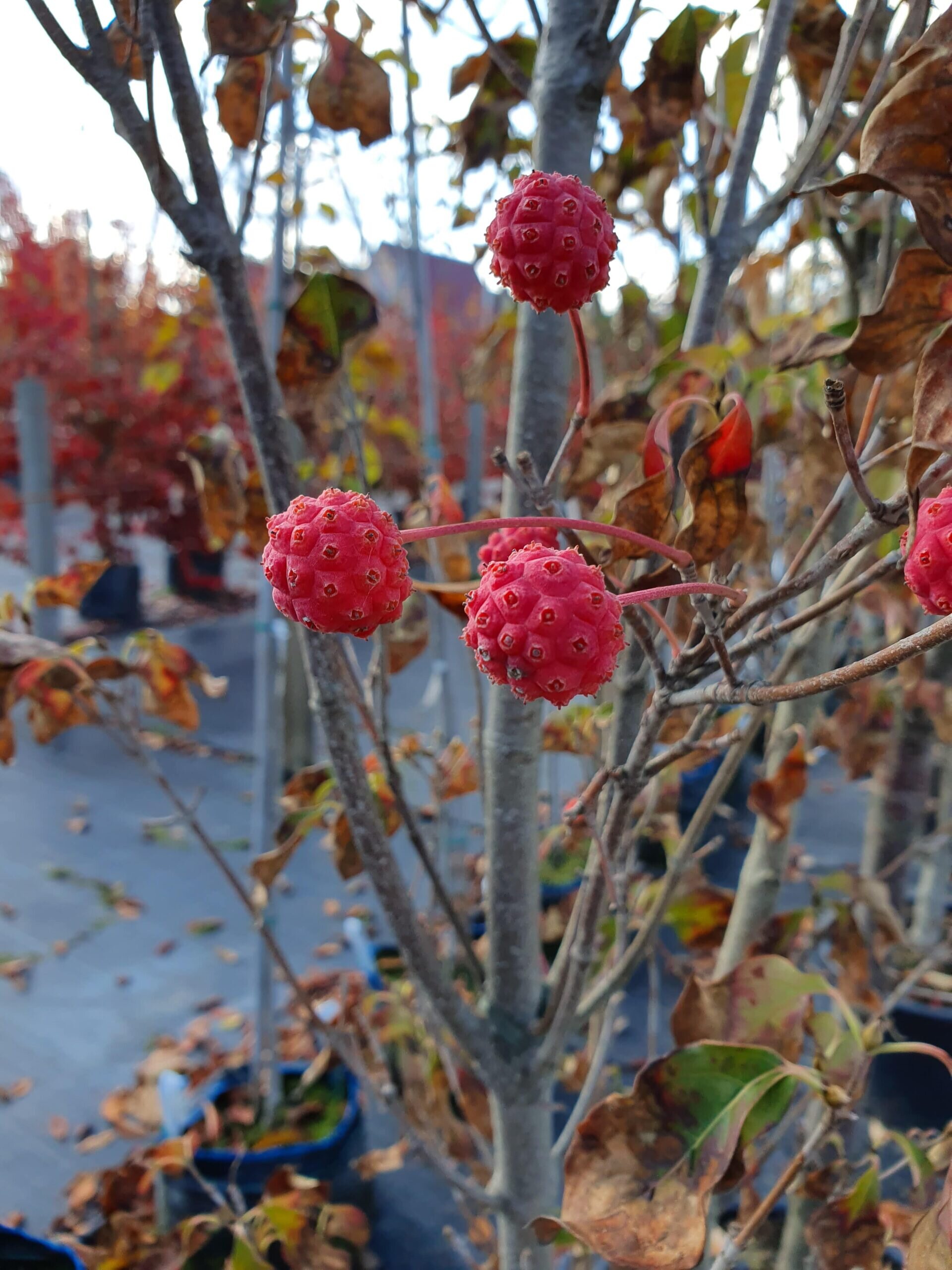 20191007_101631-min