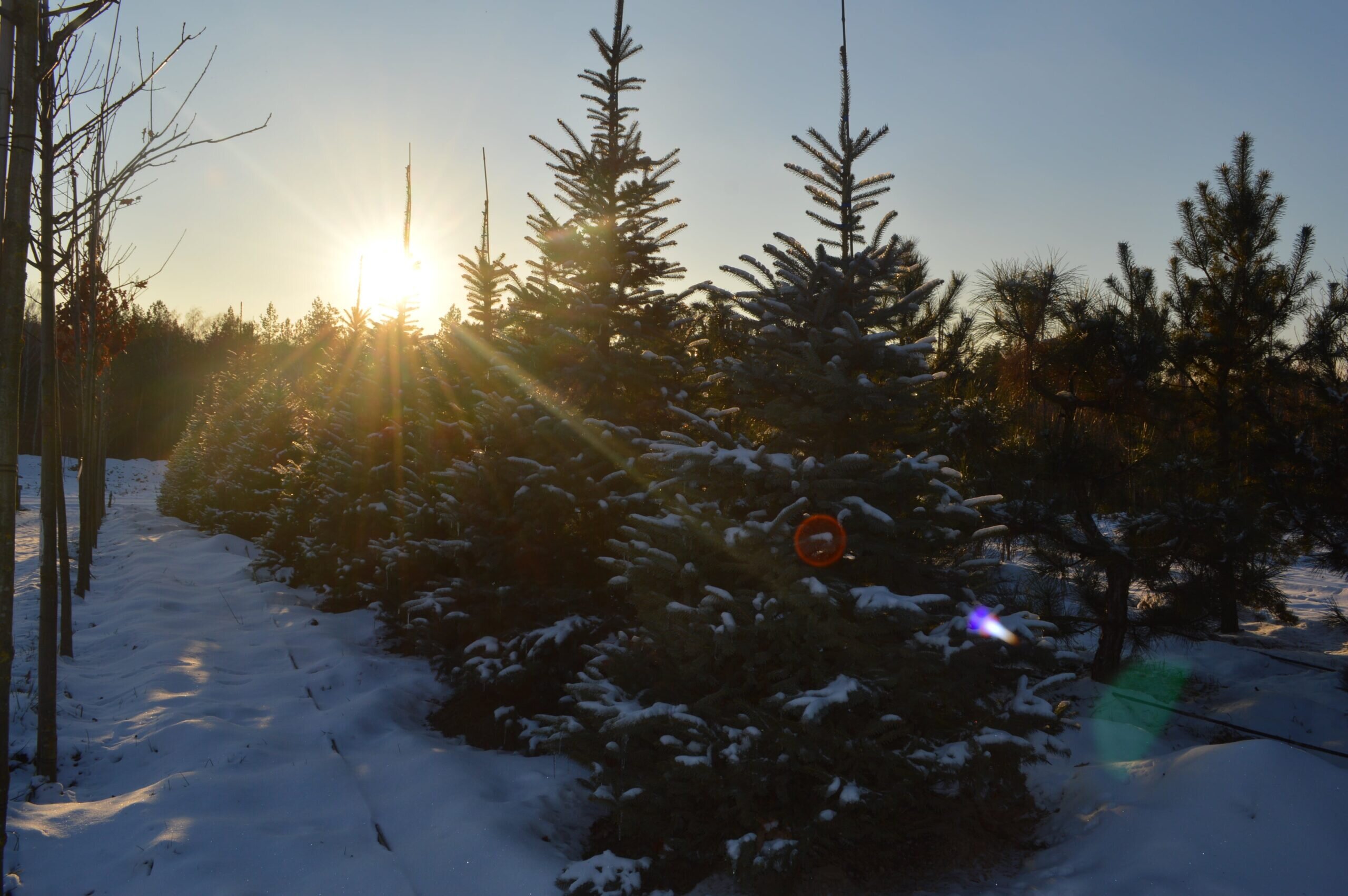 DSC_0363-min