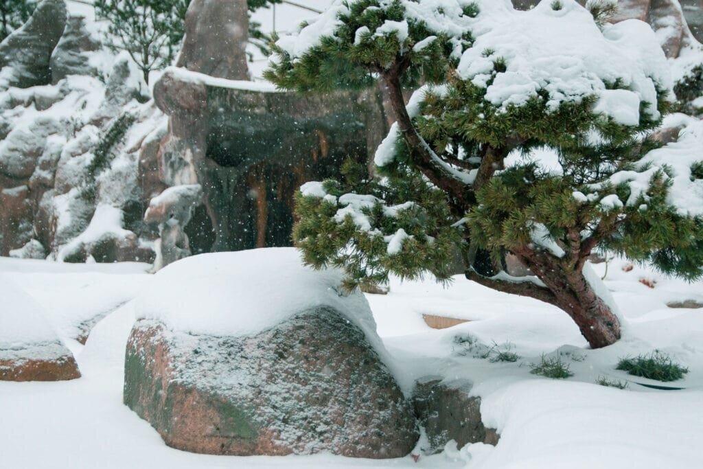 winter13-1024x683-min
