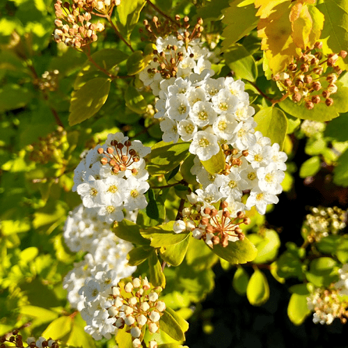 05 2