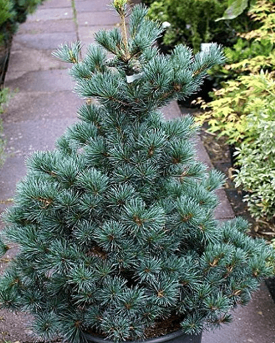 1 23