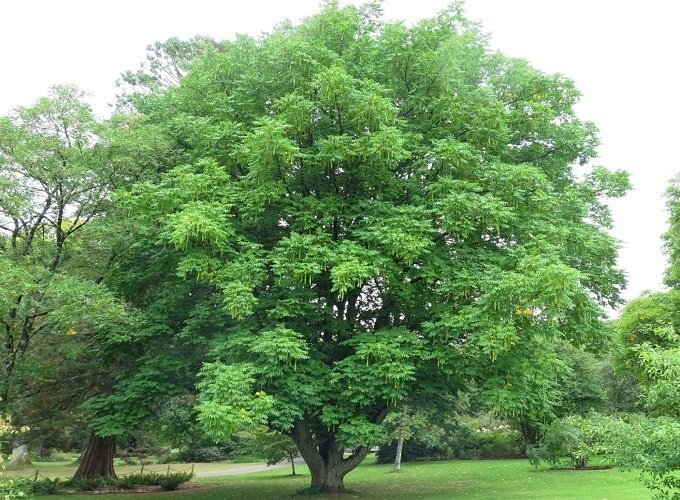 10 32