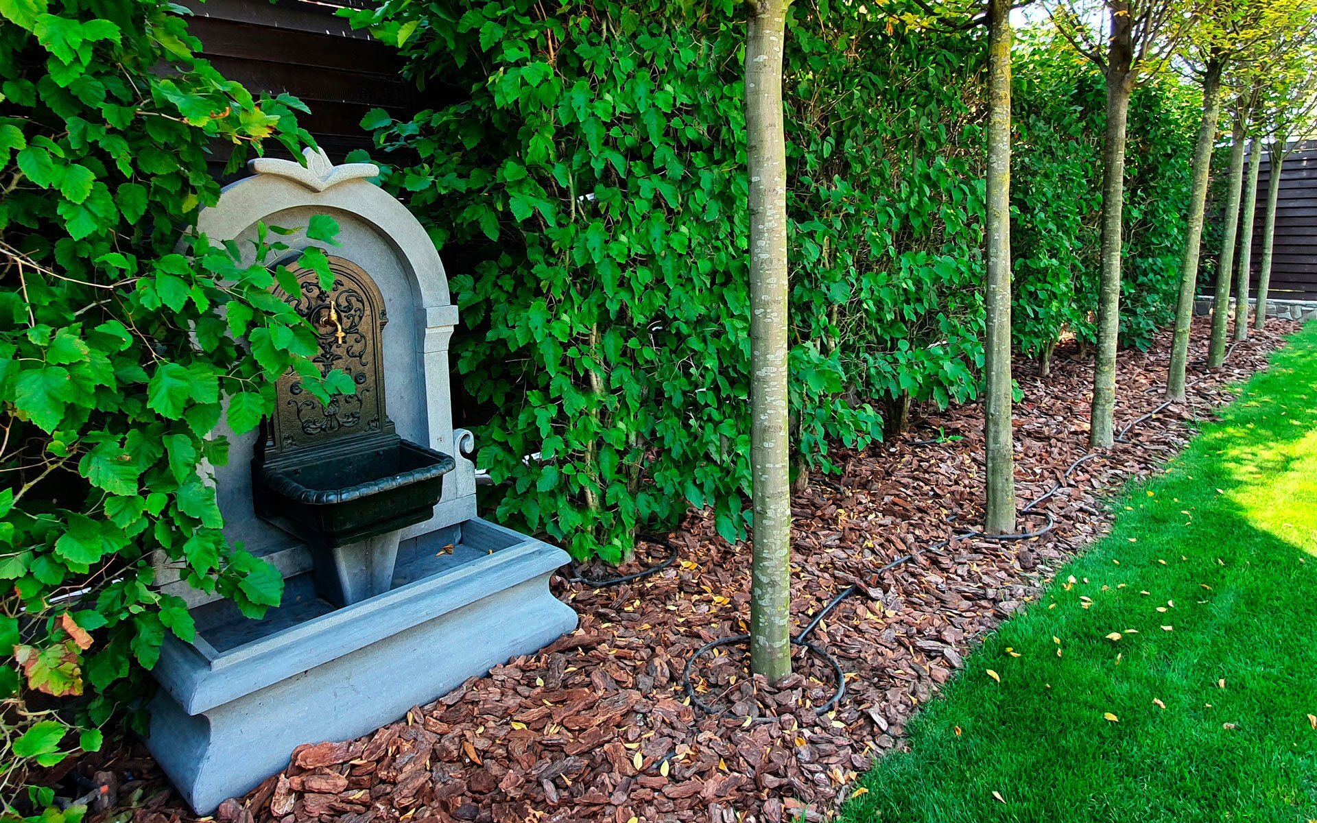 20200917_113908