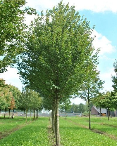 3 30