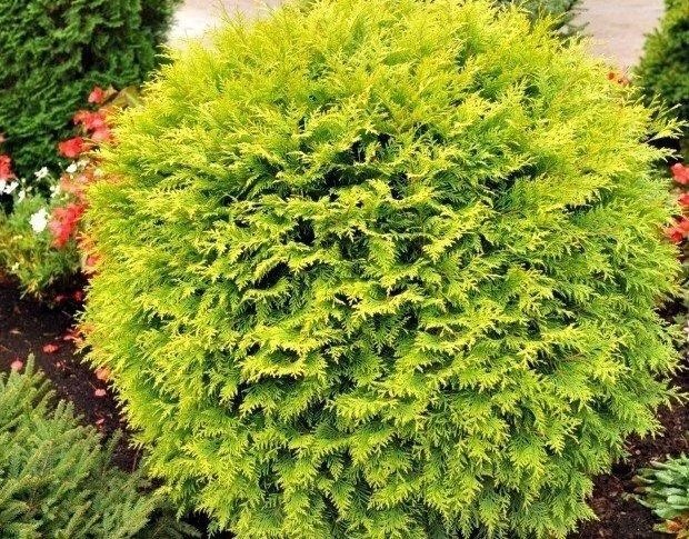 5 120