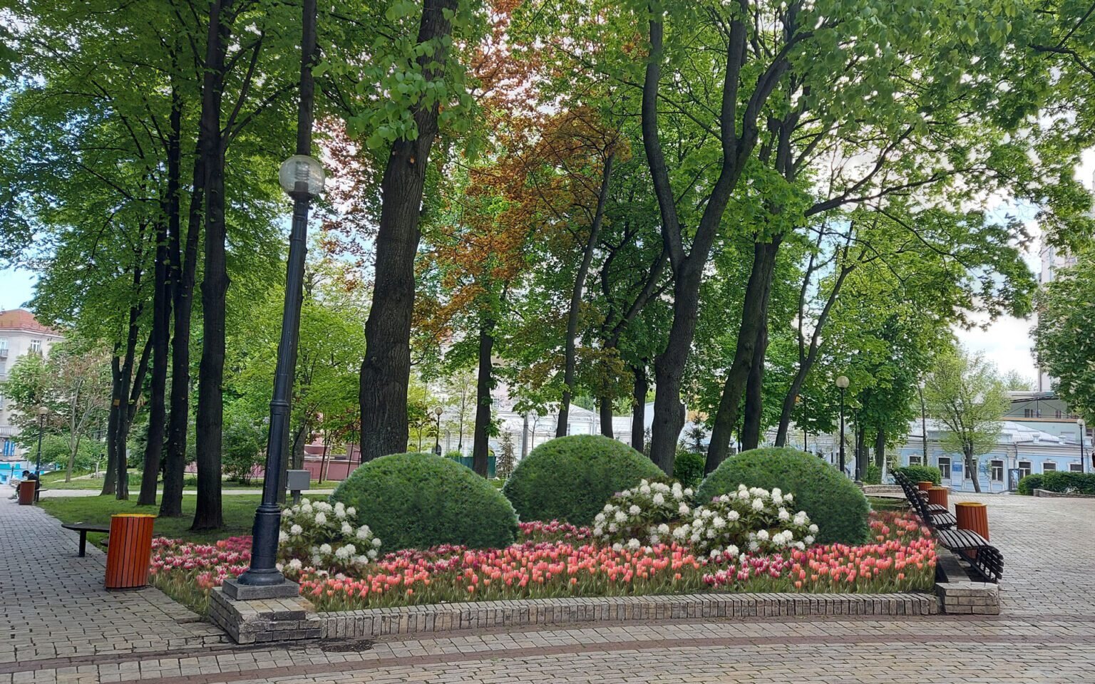 5 4 1536x960 1