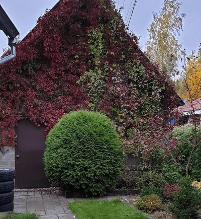 6 19 e1613482758262