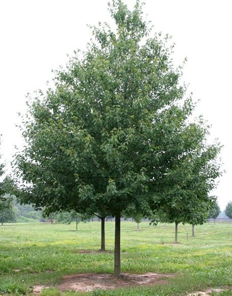 9 1 3