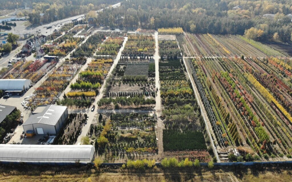DJI_0113 e1616053407842 1024x640 1