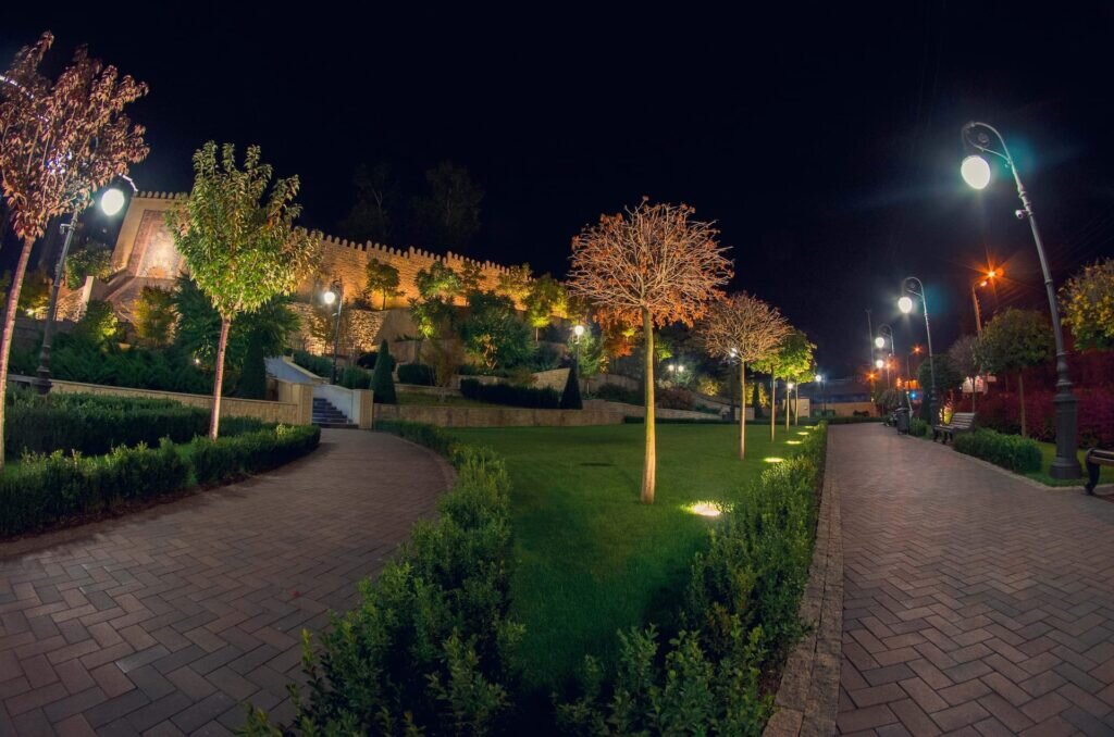 i04_aliev4 1024x678 1