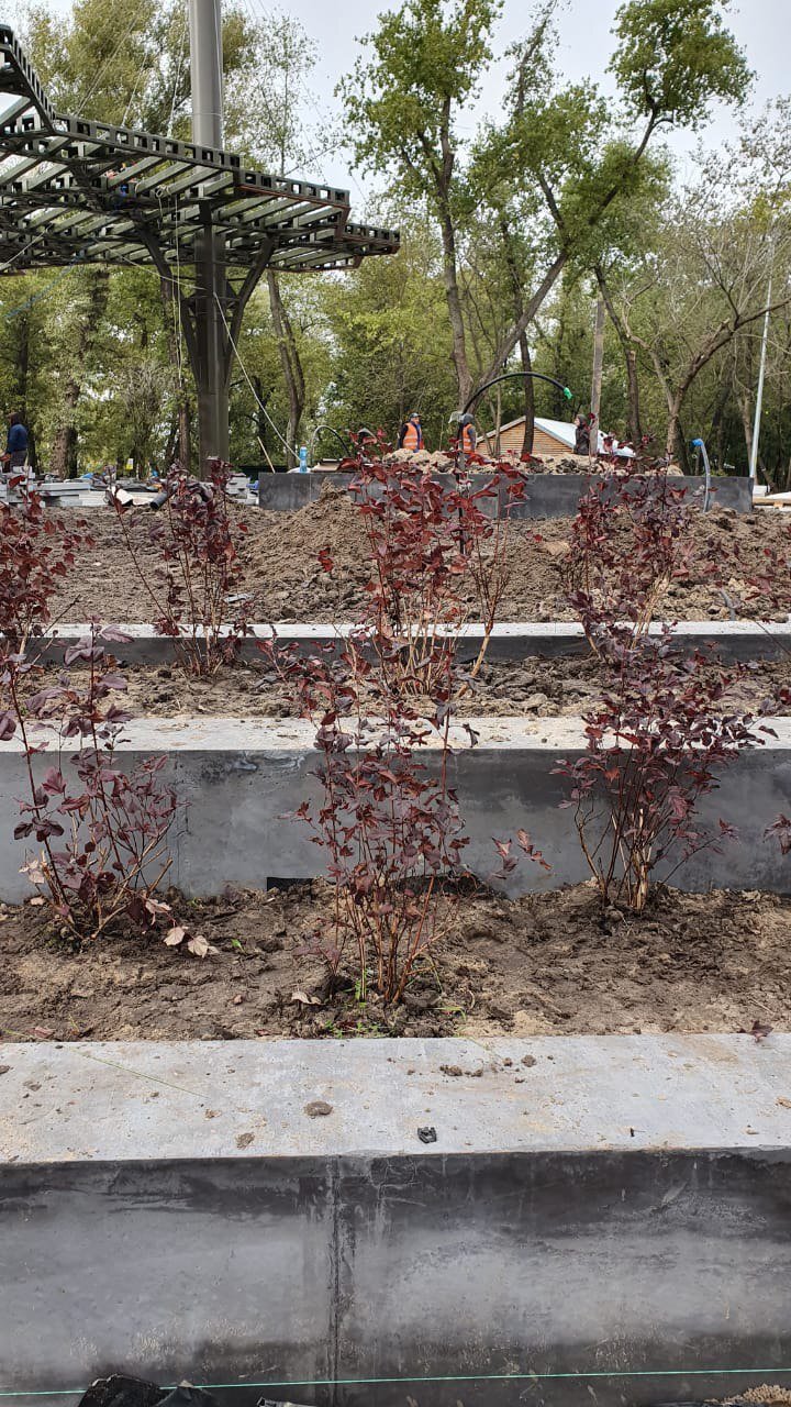 photo5373231609349780883