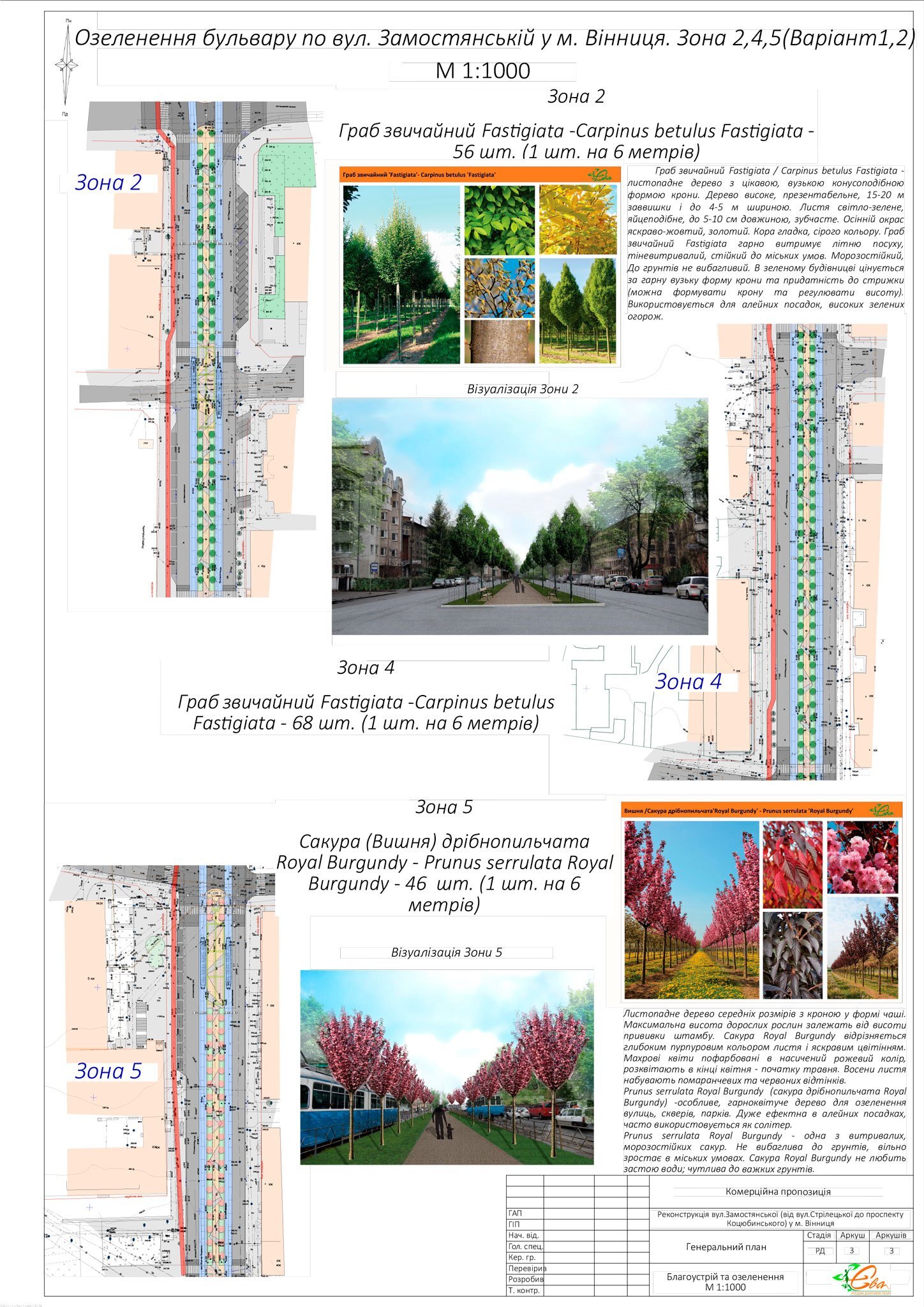 zamostya_genplan10.01 3