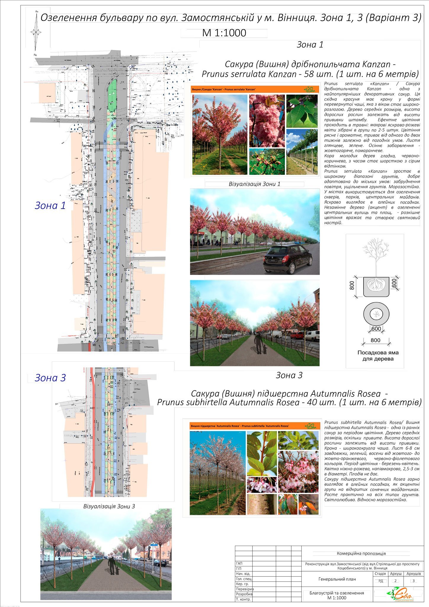 zamostya_genplan12.01 2