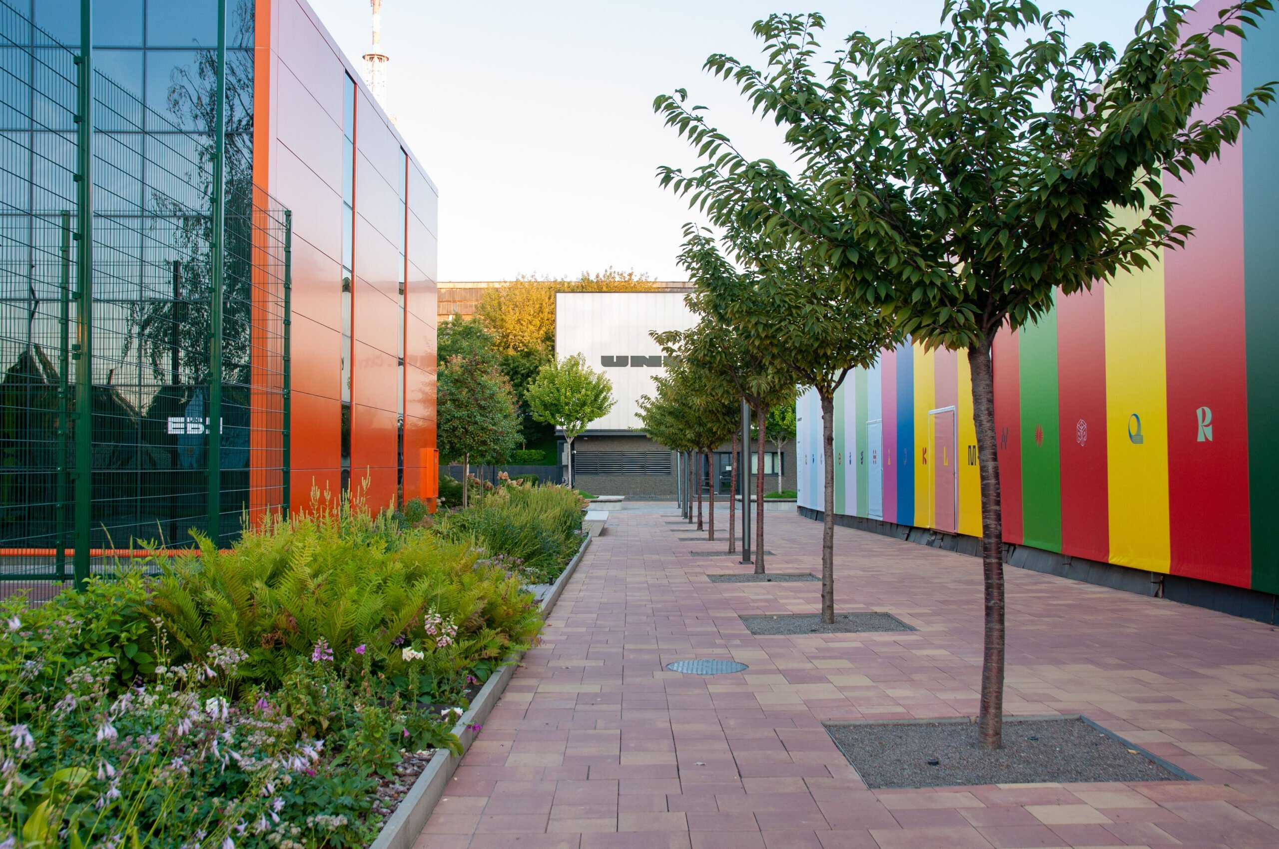 DSC_0171 scaled