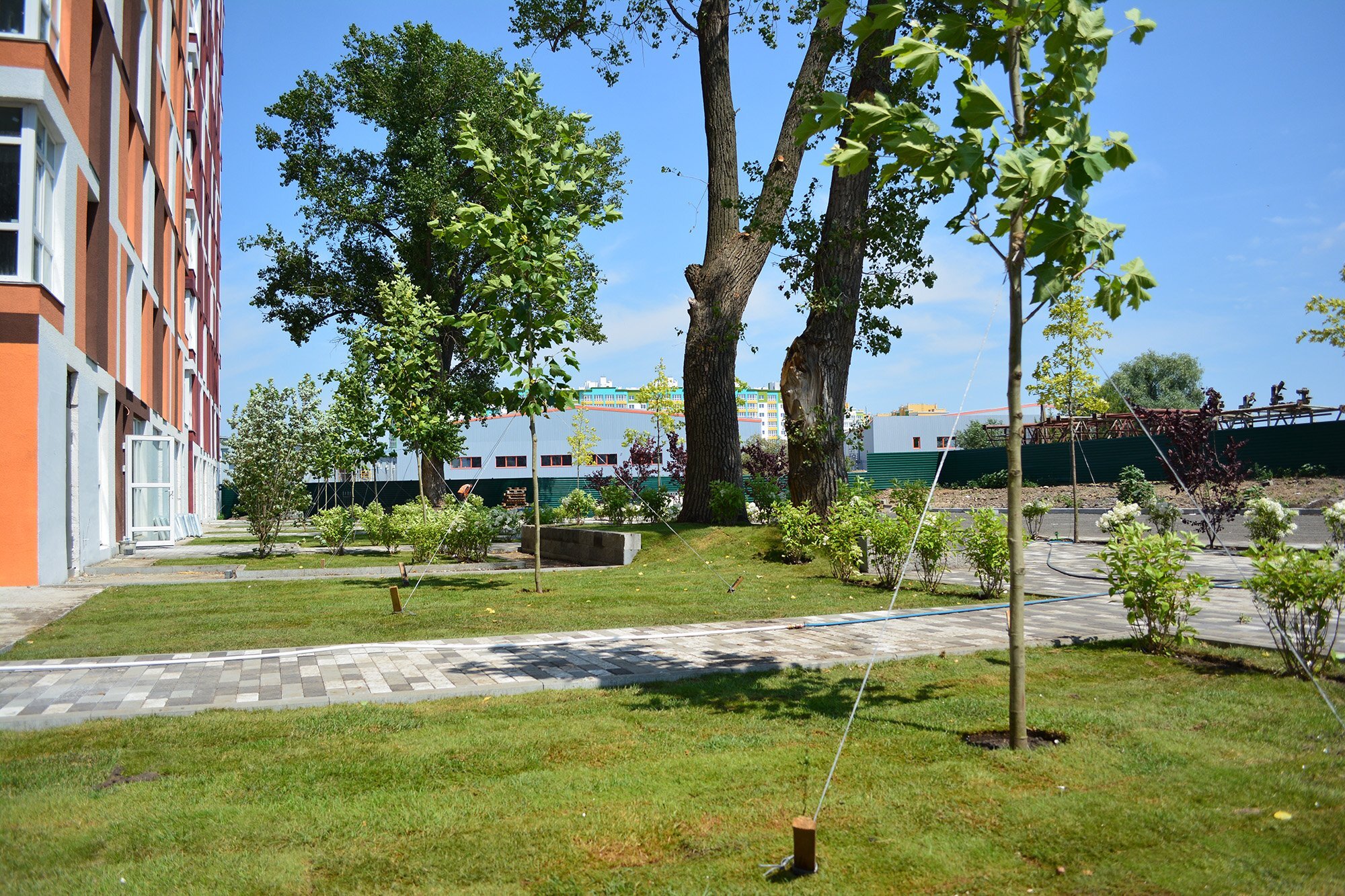 DSC_1504