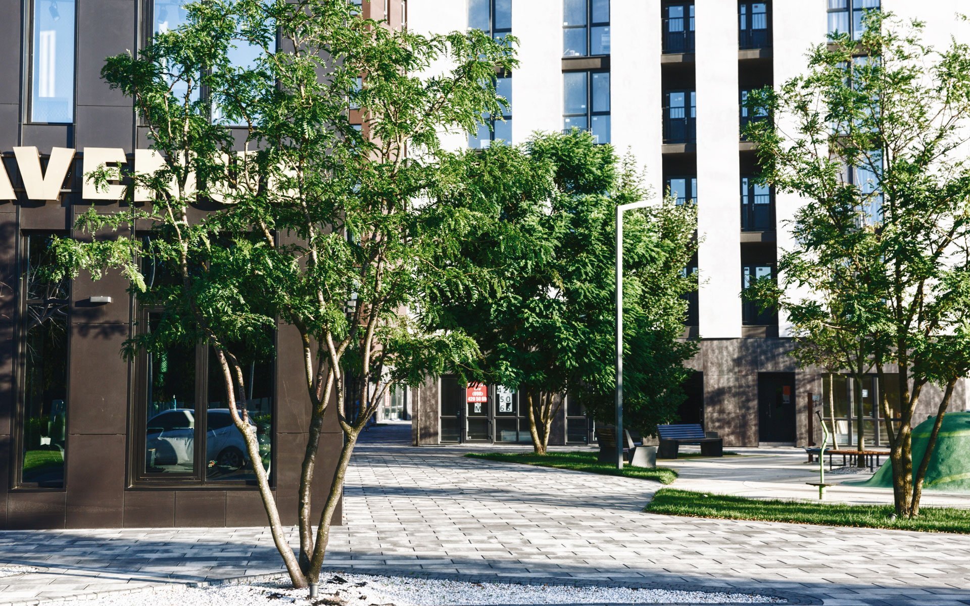 Paradise Avenue Archipark 9