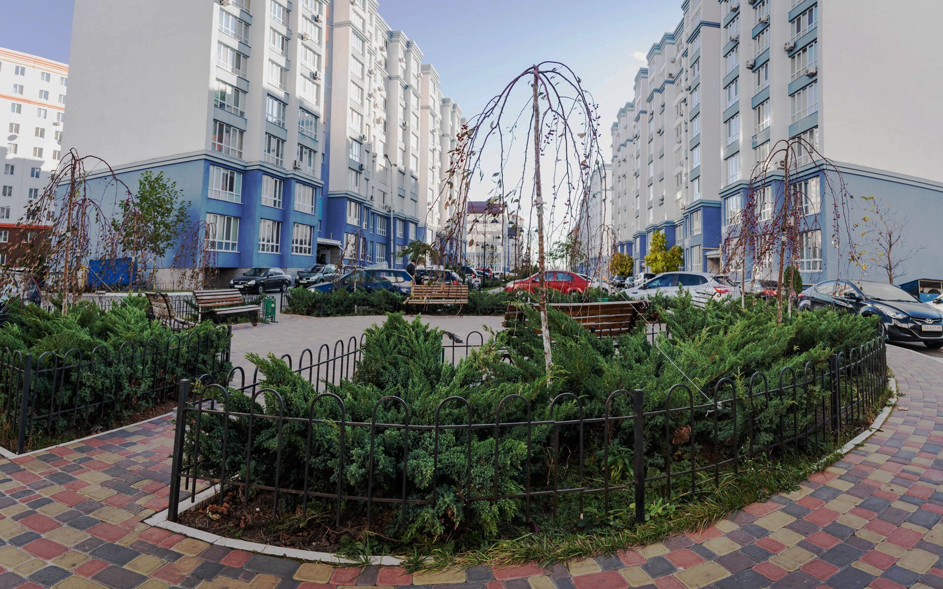 SAV_6939 Pano