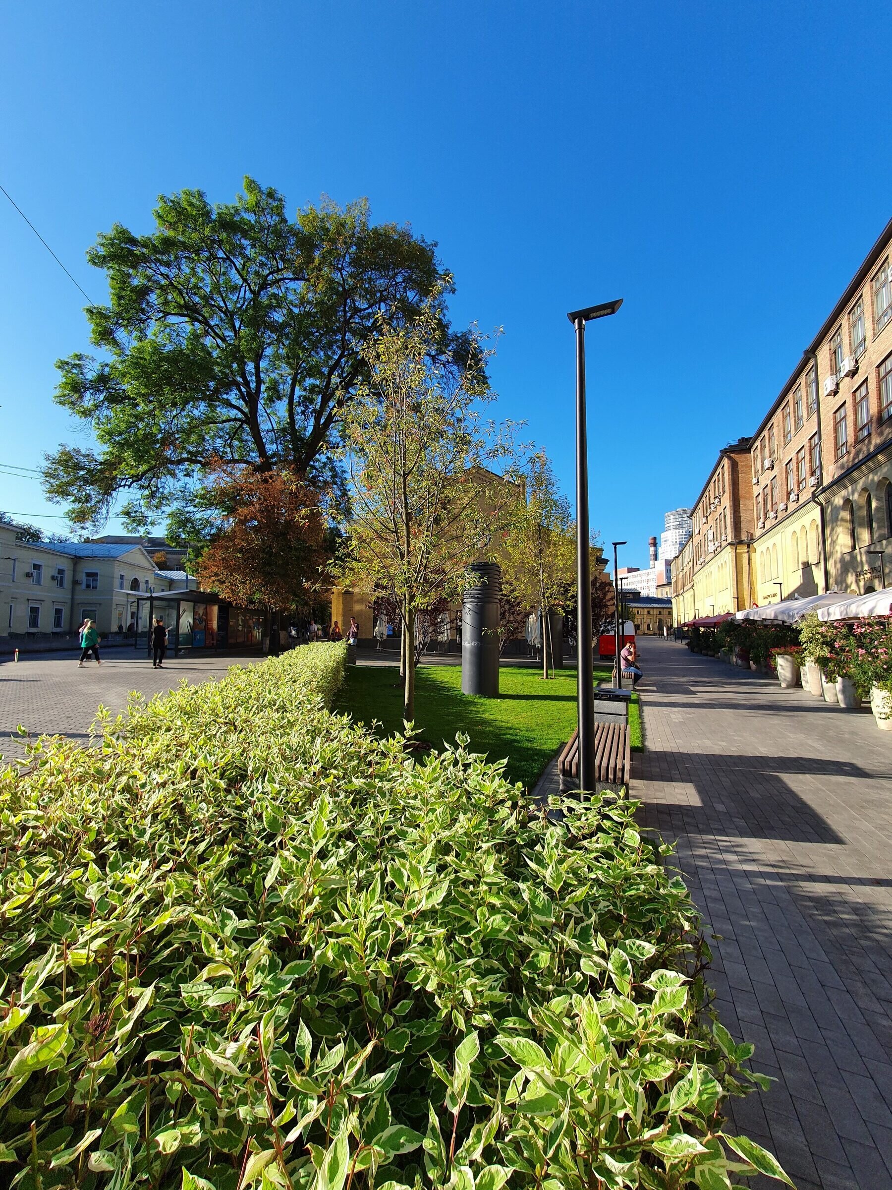 20200911_082508 1 rotated