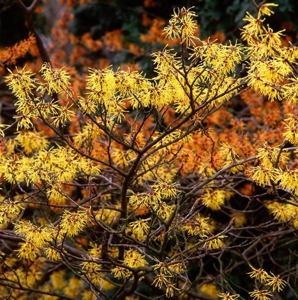 istockphoto 1304680590 612x612 1