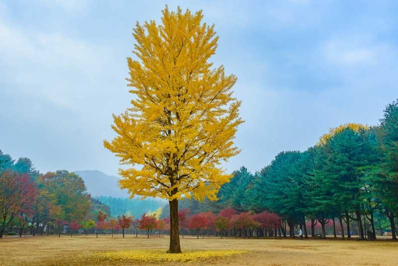 shutterstock_337959071